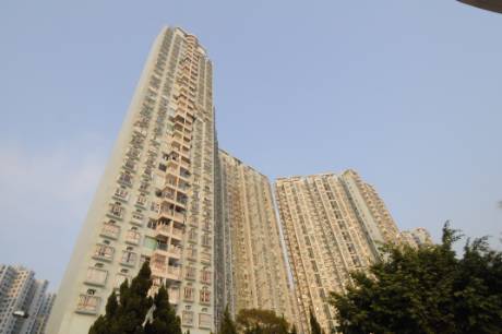 邁亞美海灣外貌