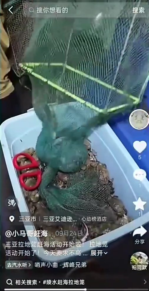 商家剪电网带客闯保护区,滥用“绝户网”捕幼鱼幼虾。 央视 商家剪电网带客闯保护区,滥用“绝户网”捕幼鱼幼虾。 央视