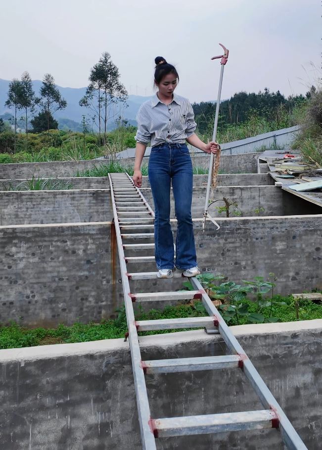 桂林女蛇王自小與蛇為伴，現在養6萬毒蛇，年入百萬元。抖音