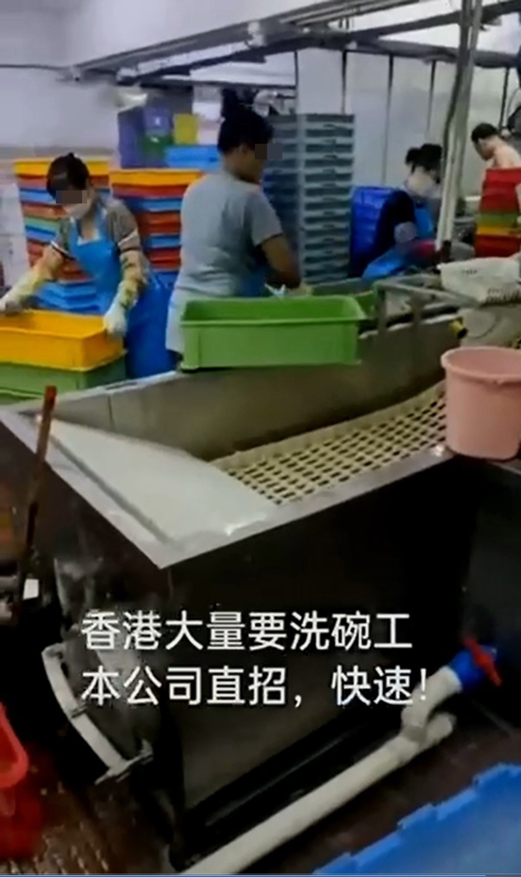 深圳中介称可安排内地人赴港当洗碗工人。