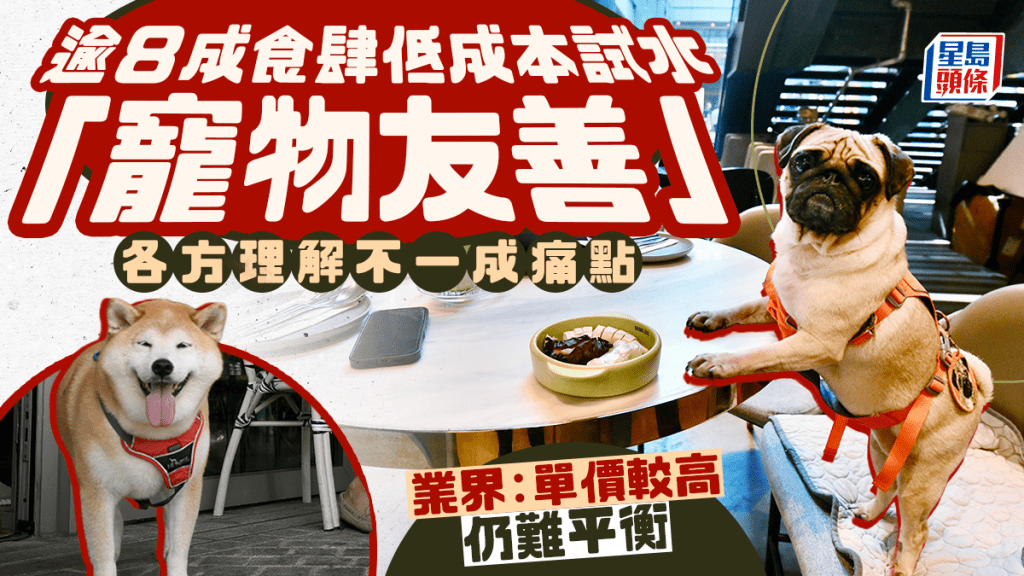 狗隻入食肆︱逾8成食肆低成本試水「寵物友善」 各方理解不一成痛點 業界：單價較高仍難平衡