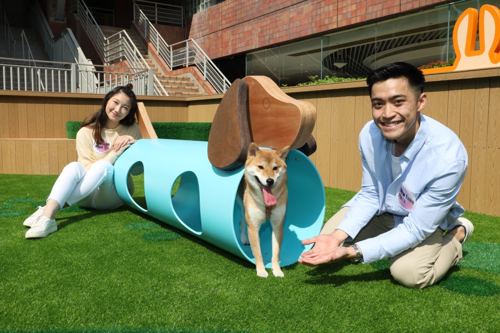 「寵物隧道」分為藍色小狗的長條形造型及木製的粉色貓咪,最適合熱愛瓹窿瓹罅的萌寵們。 「寵物隧道」分為藍色小狗的長條形造型及木製的粉色貓咪,最適合熱愛瓹窿瓹罅的萌寵們。