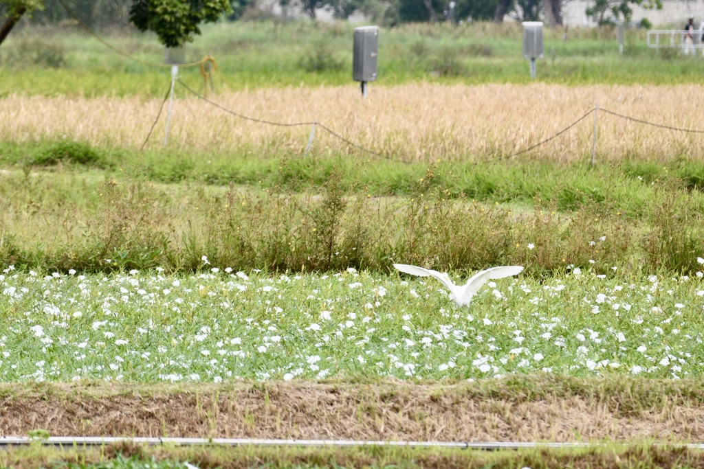 漁農署希望巿民參觀過程中不要干擾野生動物、採摘破壞植物和滋擾農民等