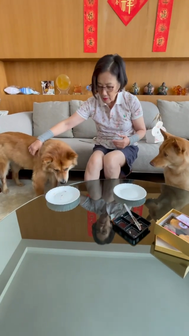 阿姐讚牠們沒有食到一地都是月餅碎。