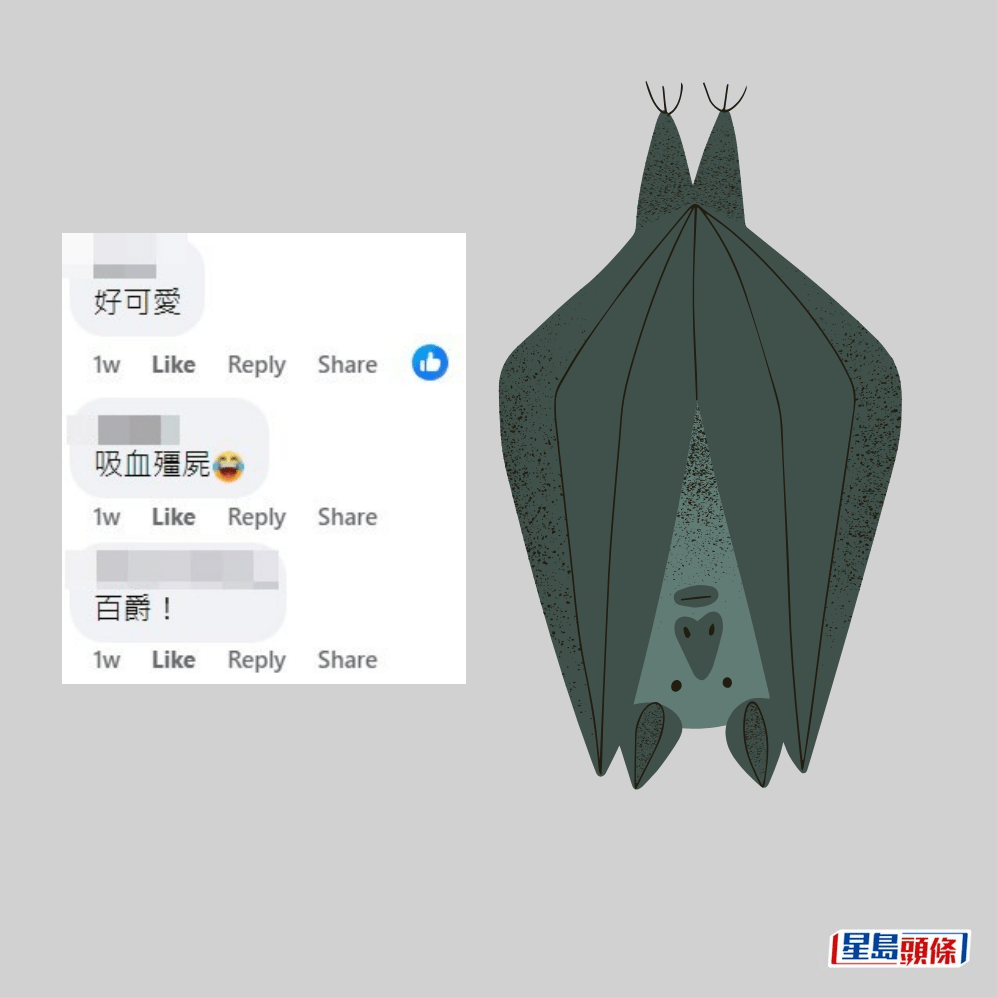 網民：吸血殭屍。fb「香港自然生態論壇」截圖