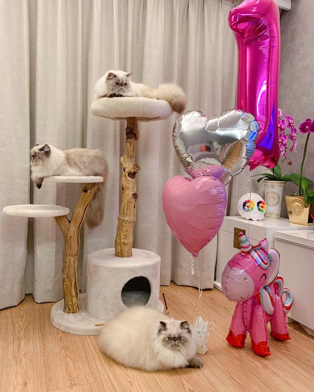 為Rikka打造浪漫的粉紅生日party。
