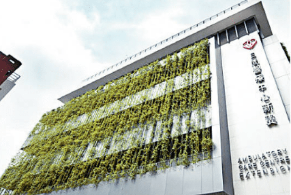香港不少建筑均有做垂直绿化，有专家认为可再优化。
