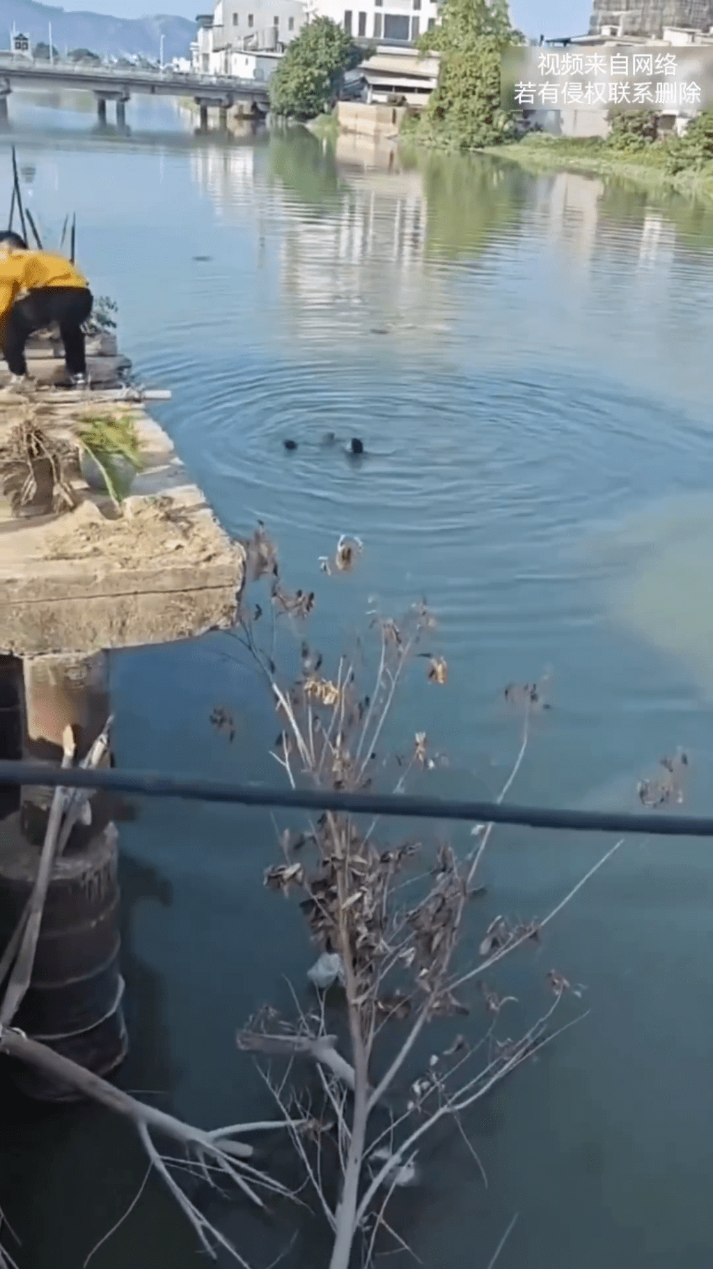 路人伸出援手利用竹竿等工具合力施救。 路人伸出援手利用竹竿等工具合力施救。