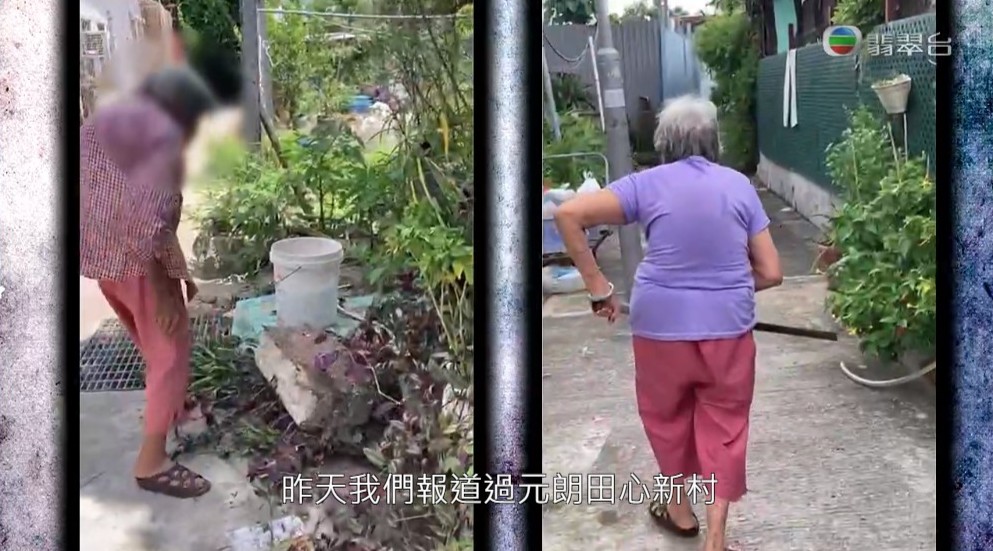 婆婆破壞鄰居的盆栽。  ​