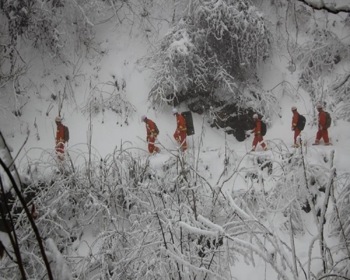 雪地搜尋被困男子的救援人員。（網圖）