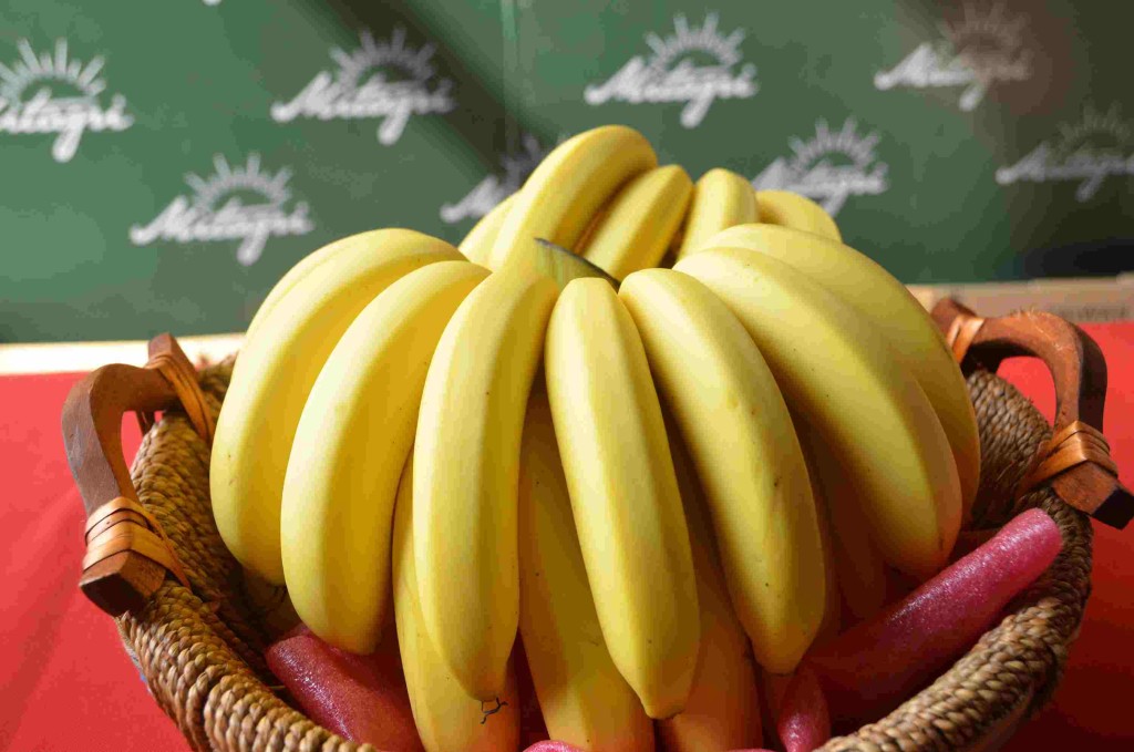 香蕉是抗憂鬱的快樂食物。