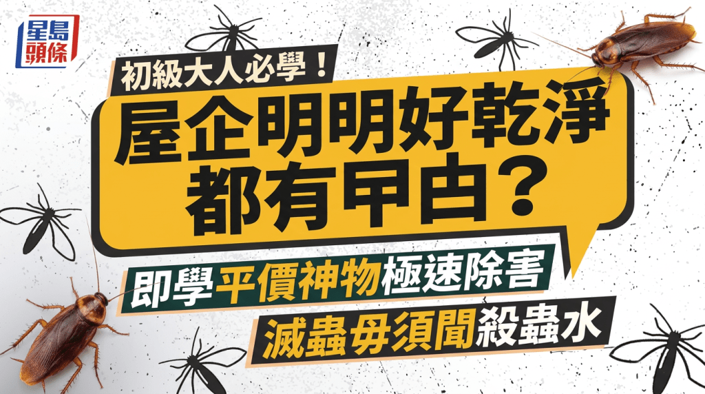 初級大人必學！屋企明明好乾淨都有曱甴？即學平價神物極速除害 滅蟲毋須聞殺蟲水