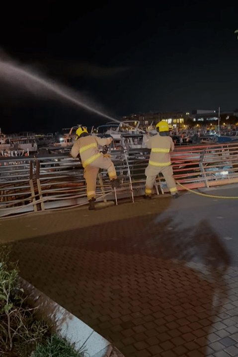 消防在岸邊射水撲救。網上片段截圖