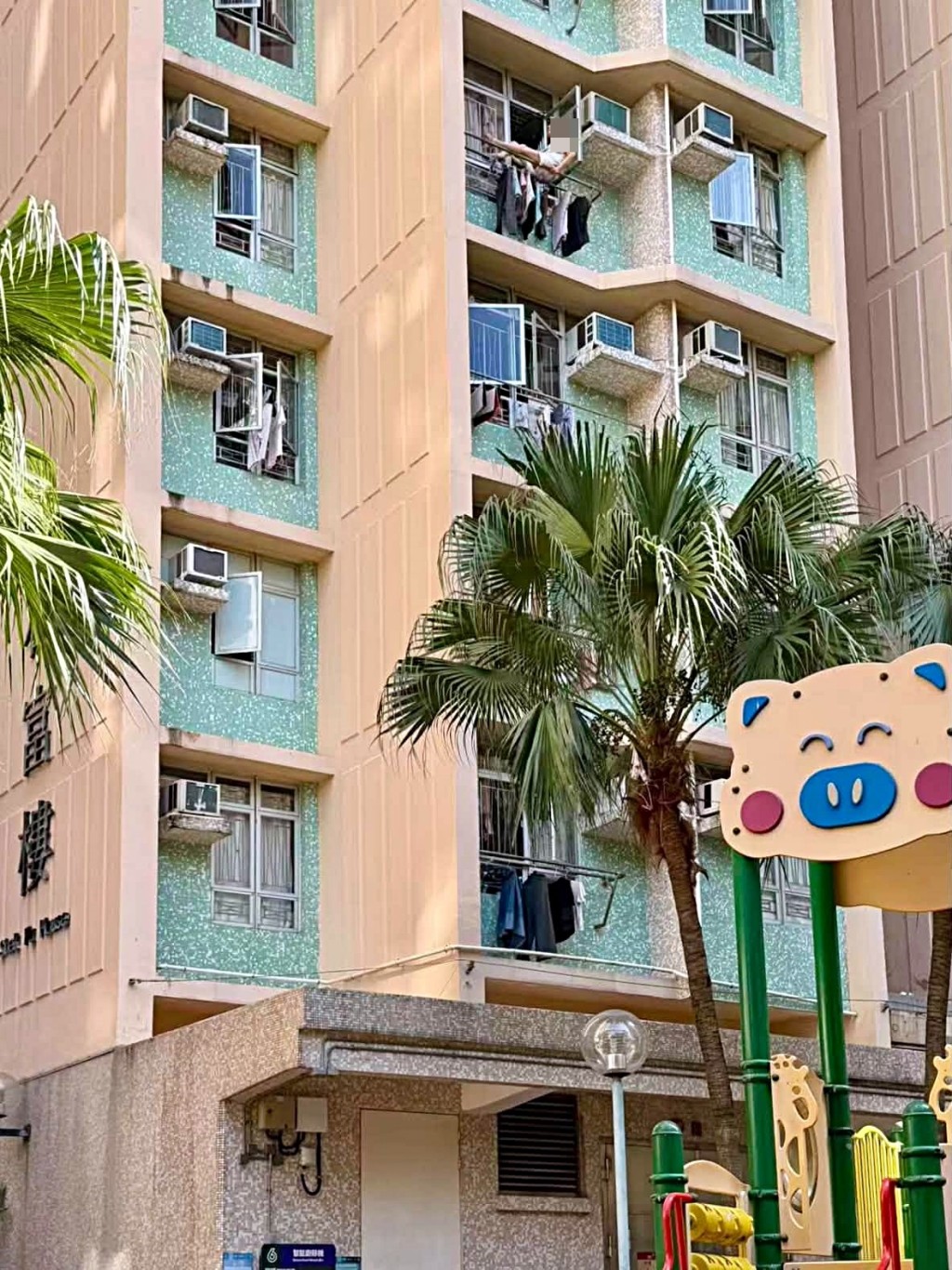 女子危坐晾衫架上。fb:我們都是石籬邨長大的 女子危坐晾衫架上。fb:我們都是石籬邨長大的