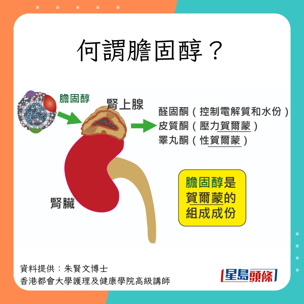 甚麼是膽固醇？