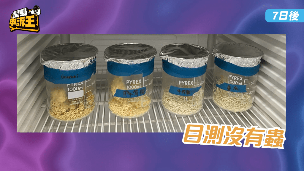 經過一星期後，4款杯麵肉眼所見仍沒孵化昆蟲。