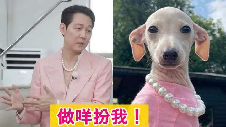 李政宰的造型唔知講乜好。
