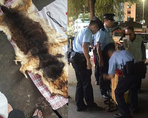 內地漢涉於年初一在元朗裕景坊販賣狗皮。網上圖片