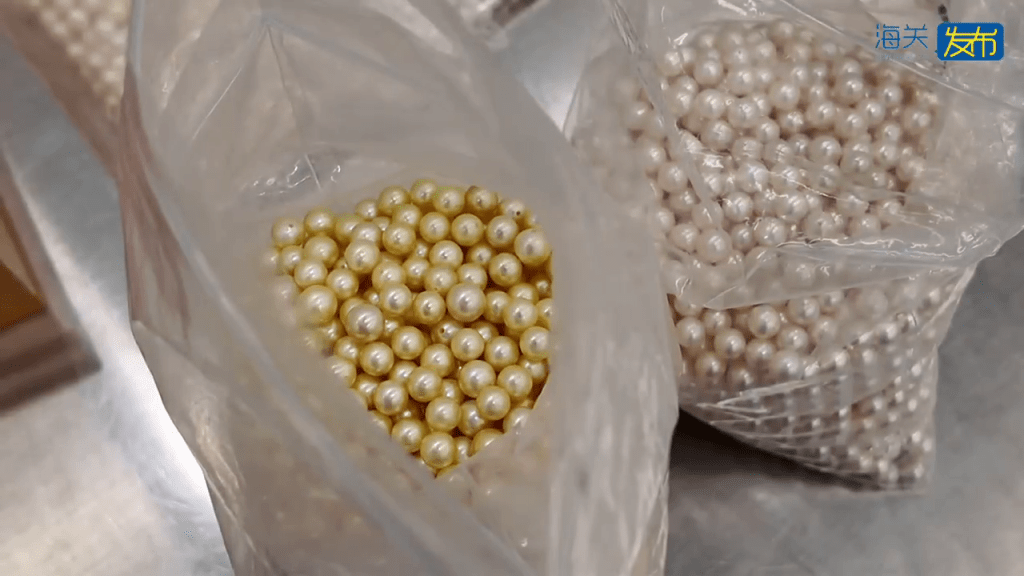 北上男煙盒藏5399顆珍珠,福田口岸斷正。 海關發布 北上男煙盒藏5399顆珍珠,福田口岸斷正。 海關發布