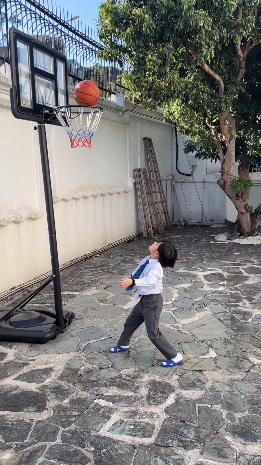 Jaye如籃球神童 。