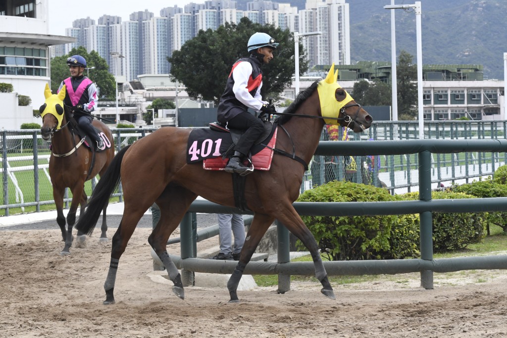 「競駿非凡」今仗將以更佳狀態迎戰，爭取在港首場頭馬。