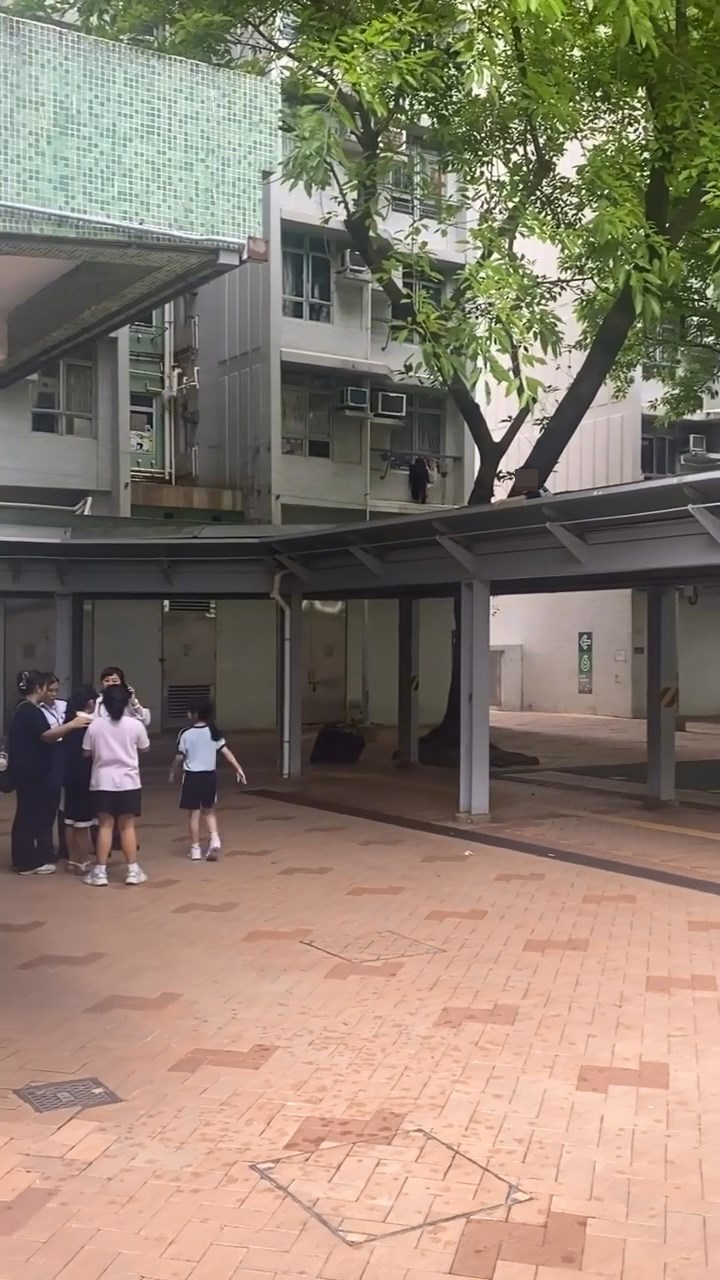 男童为执拾纸飞机，爬上行人通道上盖。Threads@appleadam__.0715片段截图