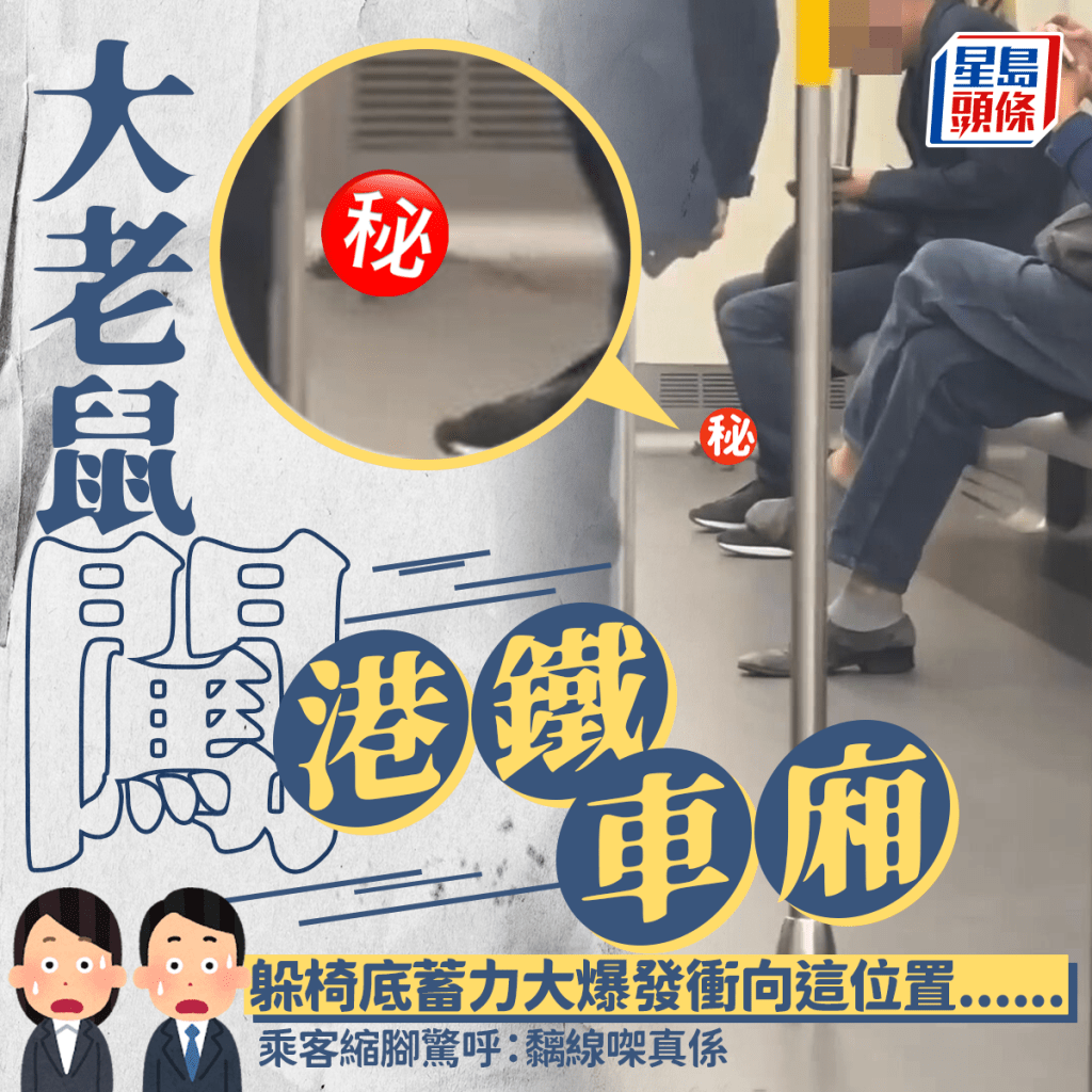 老鼠闖港鐵車廂躲椅底蓄力大暴走 衝向這位置...... 乘客嚇壞急縮腳