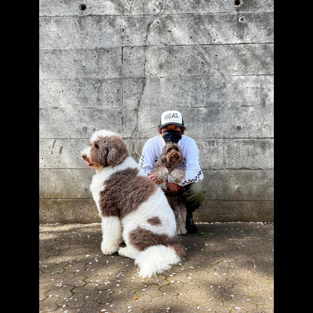 木村好錫愛犬。