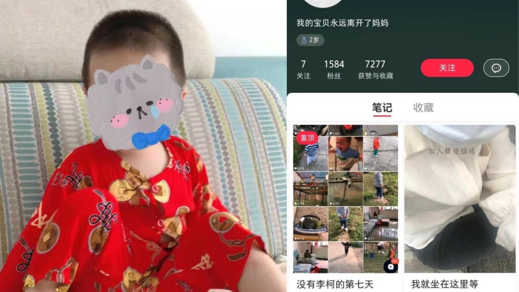 無辜被殺的「小湯圓」是個試管嬰兒。 網上圖片