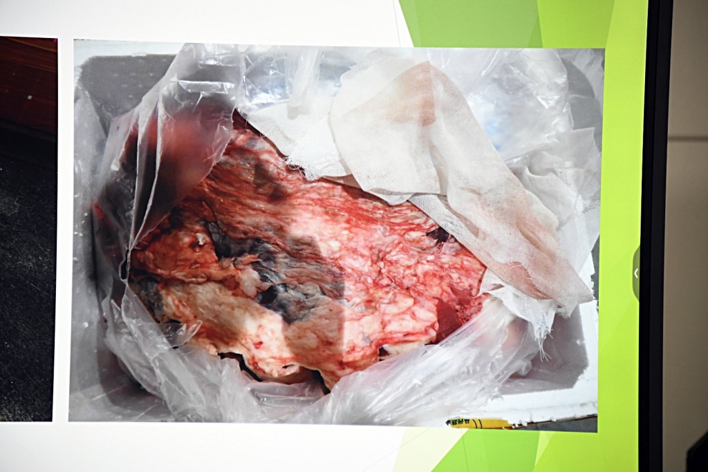 行動中起獲的走私凍肉。