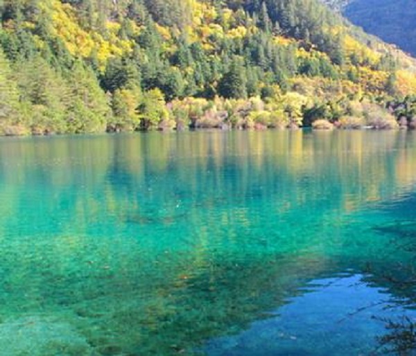 火花海原貌。網上圖片