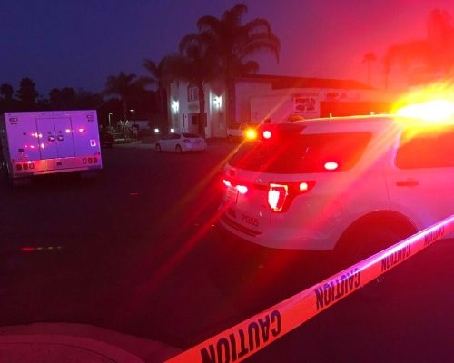 美國南加州一座清真寺起火，警方在車道上發現提到紐西蘭清真寺槍擊案的塗鴉 。美聯社圖片
