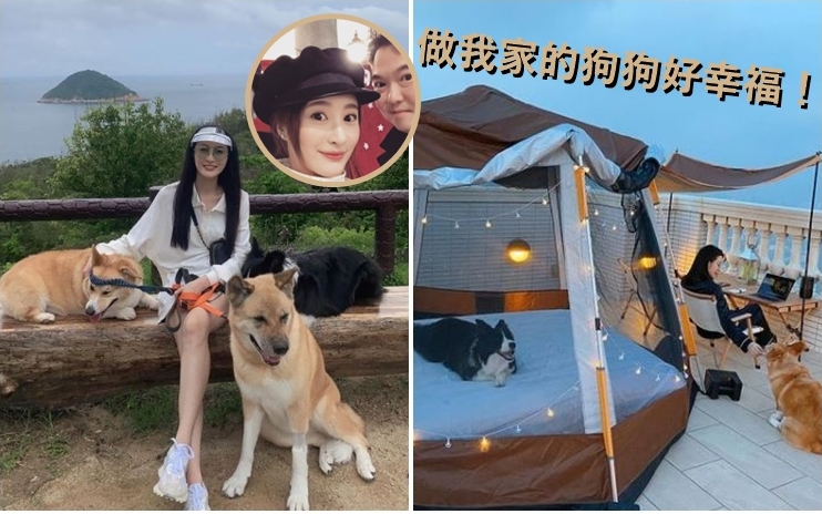 林夏薇昨日在豪宅天台跟愛犬露營。