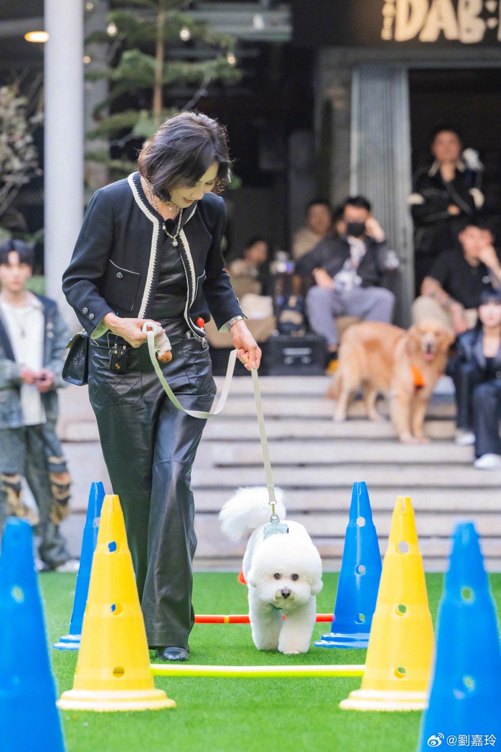 劉嘉玲帶同愛犬練習。