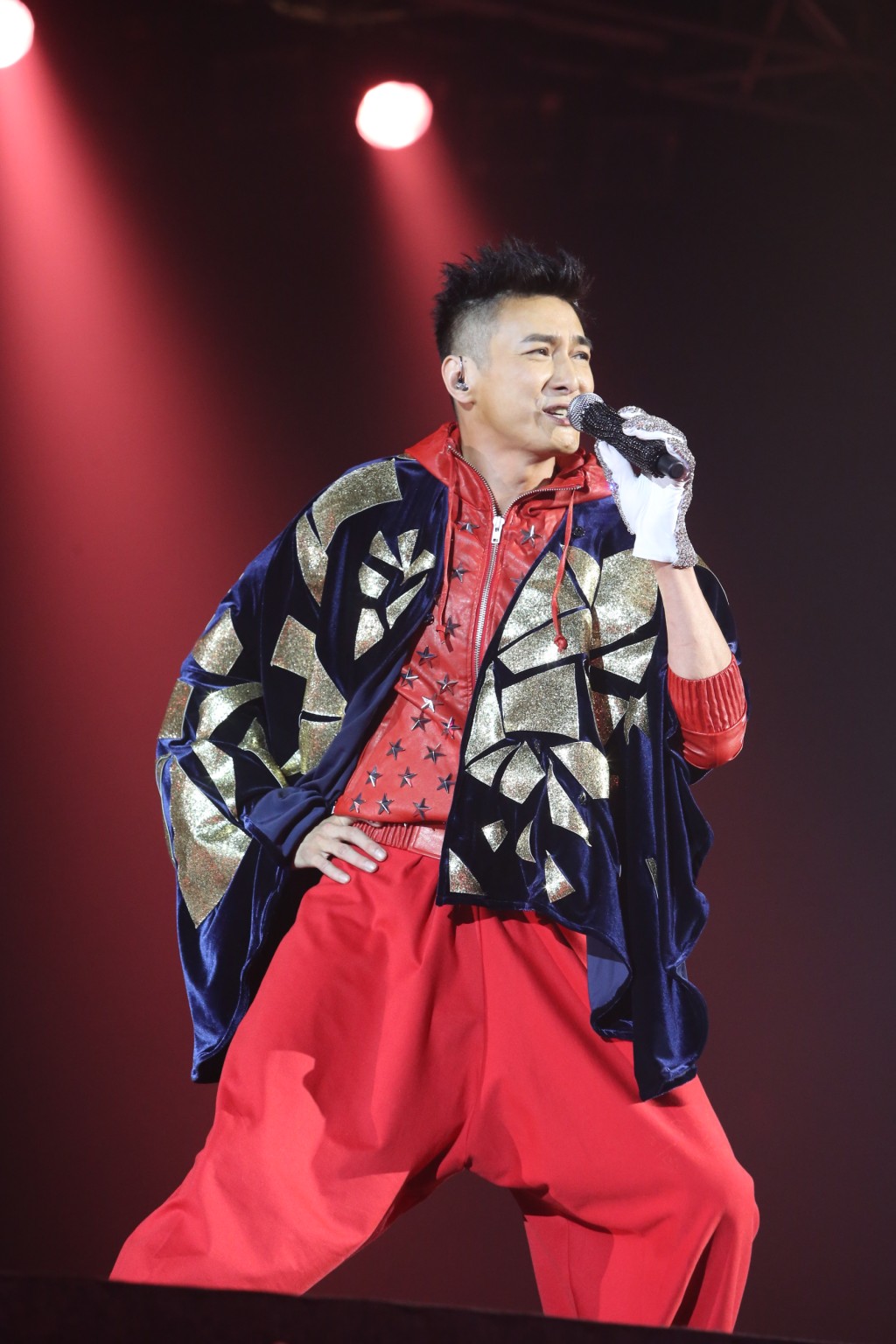 胡渭康于2012举行入行30年首次个人演唱会。