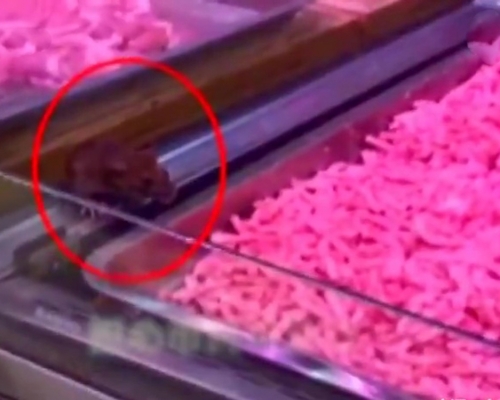 廣西超市驚見老鼠啃肉餡。（網圖）