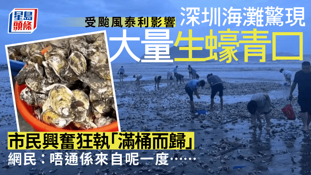 颱風泰利|深圳海邊驚現遍地生蠔青口 市民興奮擸桶任執