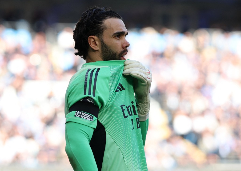 阿仙奴門將大衛拉耶稱唔踢波會打理家族珠寶生意。路透社