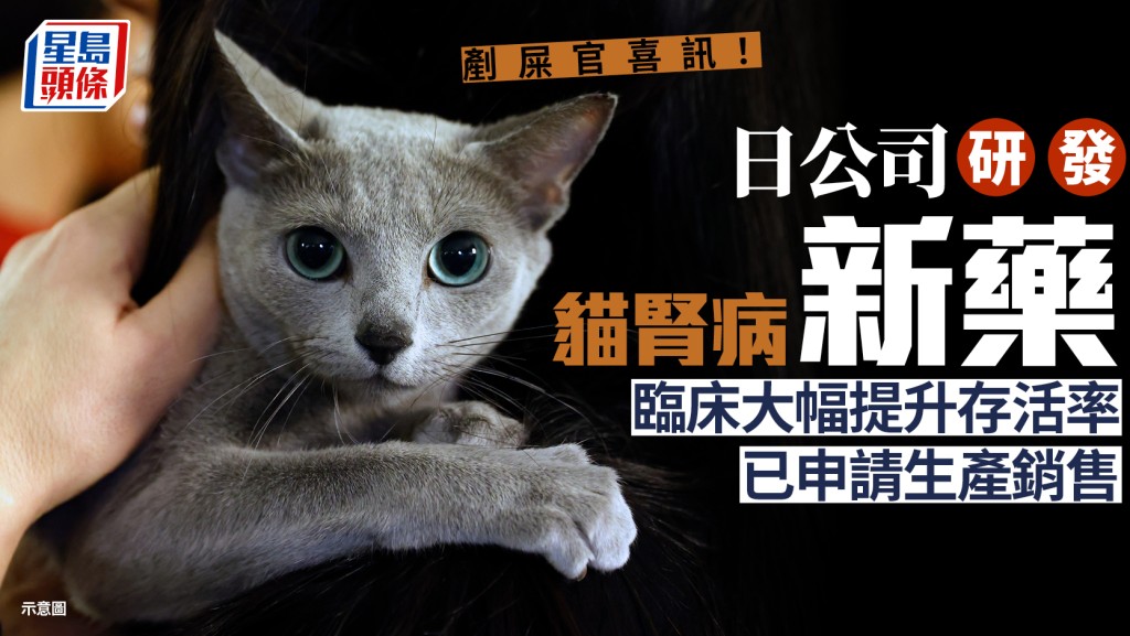 AIM治貓腎病｜日本公司證實新藥有效 向當局申請批准生產銷售