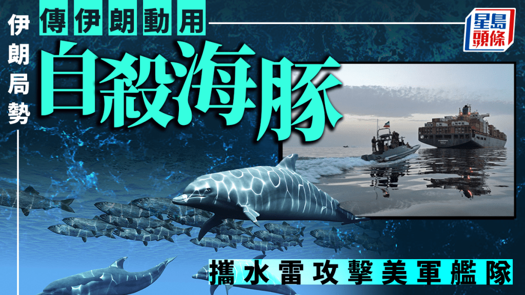 伊朗局勢 | 伊朗傳擬動用自殺海豚 攜水雷攻擊美軍艦隊
