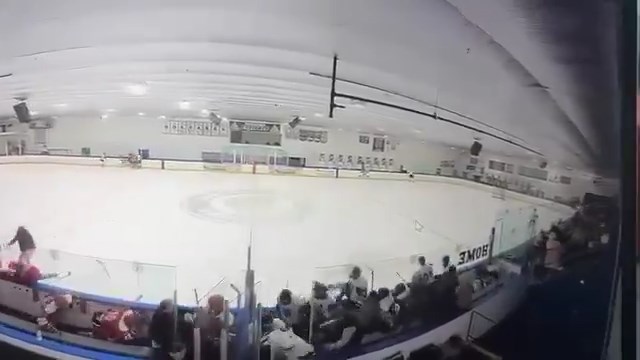 現場球員和觀眾紛紛走避。 現場球員和觀眾紛紛走避。