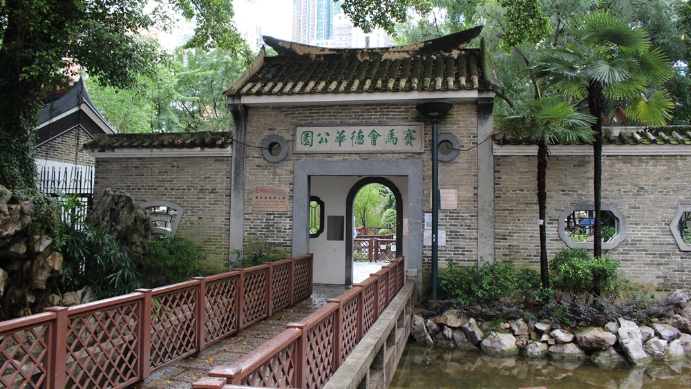 康文署移除荃灣賽馬會德華公園一棵已枯萎的古銀杏樹。民政事務署圖片