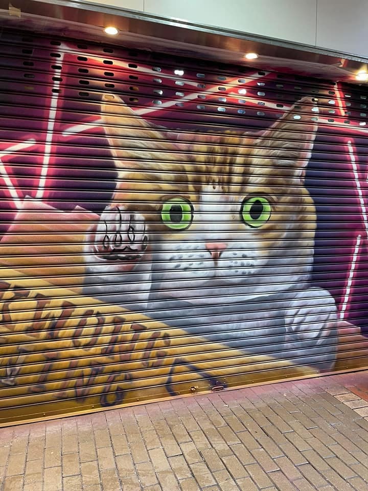 5号猫：「旺角猫」。香港风景摄影会网民林生