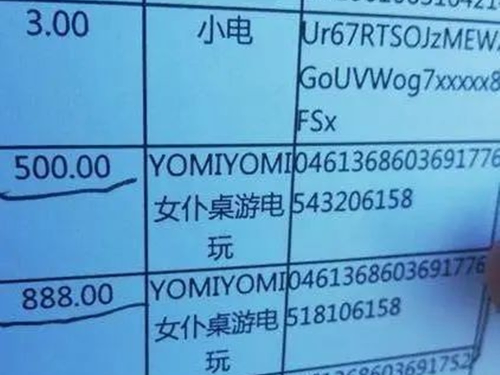 据帐户记录,少年花上相当金额与女仆玩桌游。网图