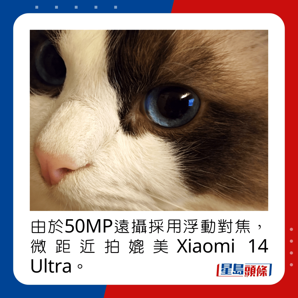 由於50MP遠攝採用浮動對焦，微距近拍媲美Xiaomi 14 Ultra。