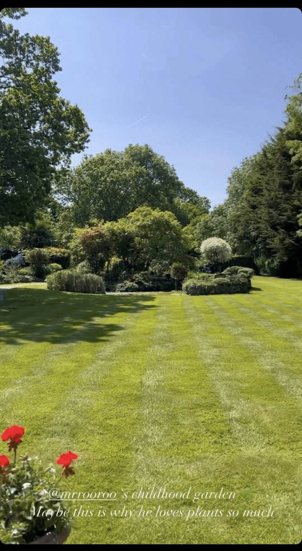 原來環境幽美的大花園是老公Andrew成長的地方。