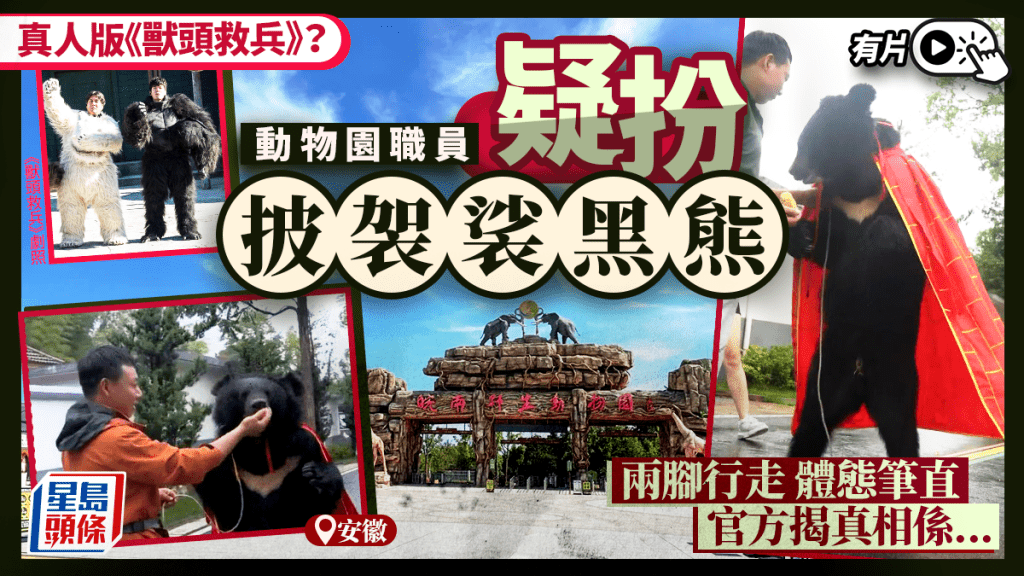 《獸頭救兵》真實版？︱職員疑扮披袈裟黑熊   安徽動物園揭真相︱有片