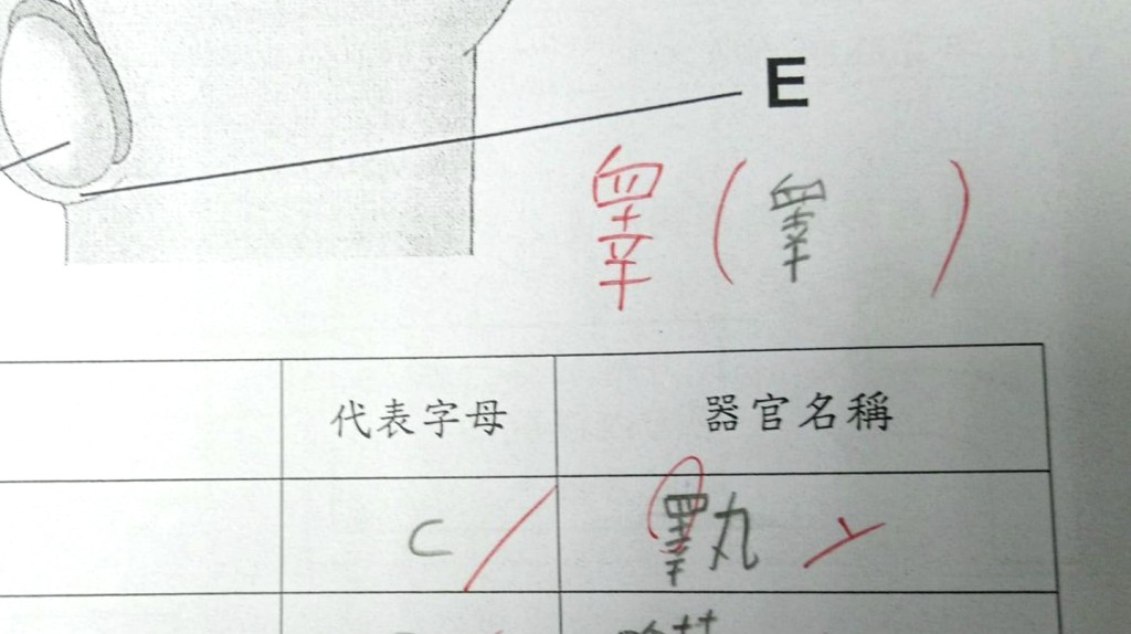 港媽求教到底「睪」抑或「睾」丸才對。網民‎Abby Lau‎ 圖片