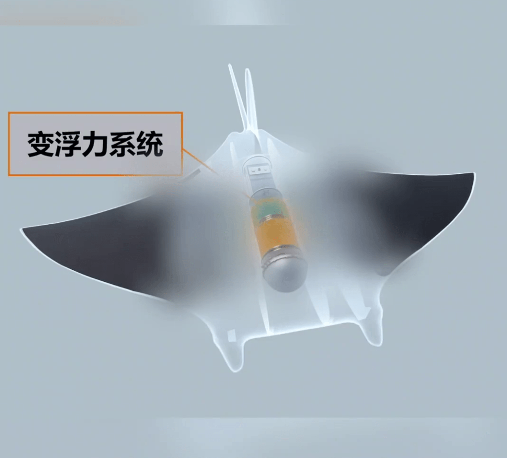 「魔鬼魚」能承受約200個大氣壓的深海水壓。 「魔鬼魚」能承受約200個大氣壓的深海水壓。