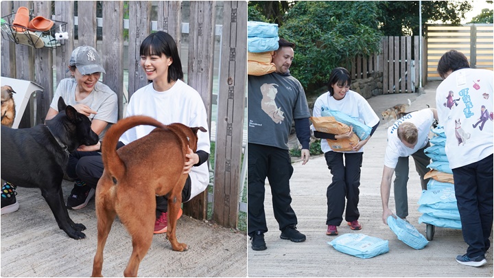 《得寵先生》捐千磅狗糧給「浪浪之家」 盧慧敏「悅娜」上身打掃兼陪玩